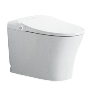 SMART TOIET YC318G