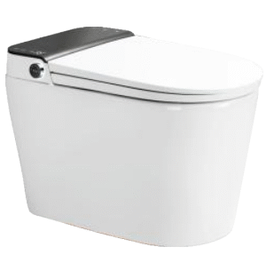 SMART TOILET T67